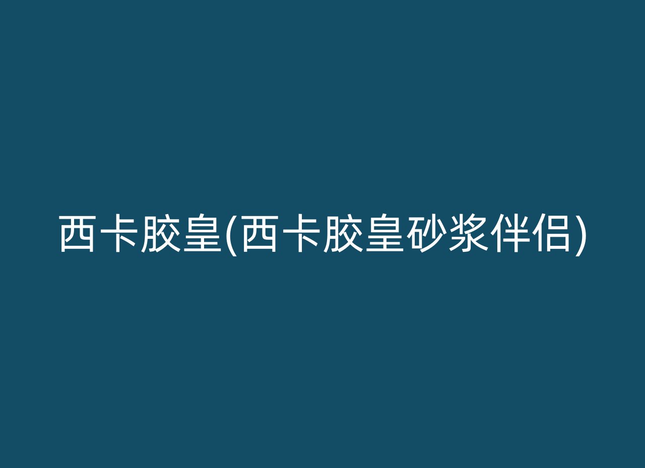 西卡胶皇(西卡胶皇砂浆伴侣)