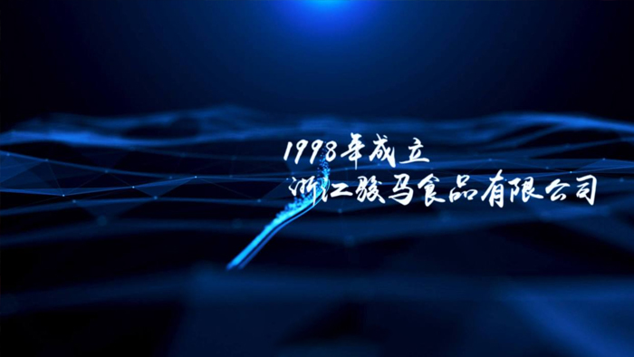 公司荣誉见证